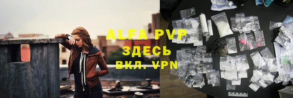 прущий лед Вяземский