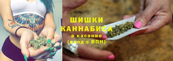 прущий лед Вяземский