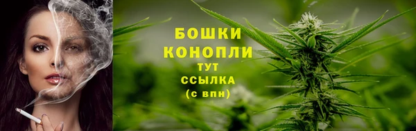 прущий лед Вяземский