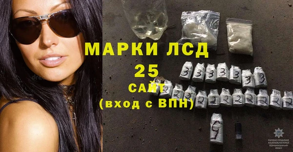 прущий лед Вяземский