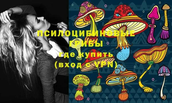 прущий лед Вяземский