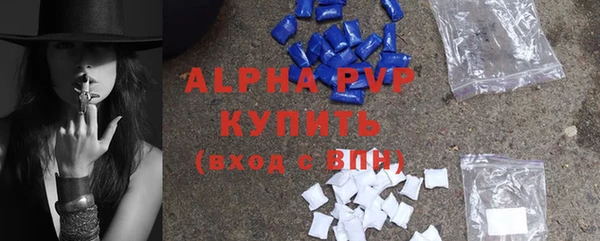 прущий лед Вяземский
